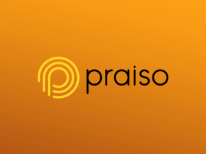 The image showcases the word "praiso" alongside a stylized yellow "p" on an orange background, hinting at the vibrant branding of the Praiso Driver Training App.