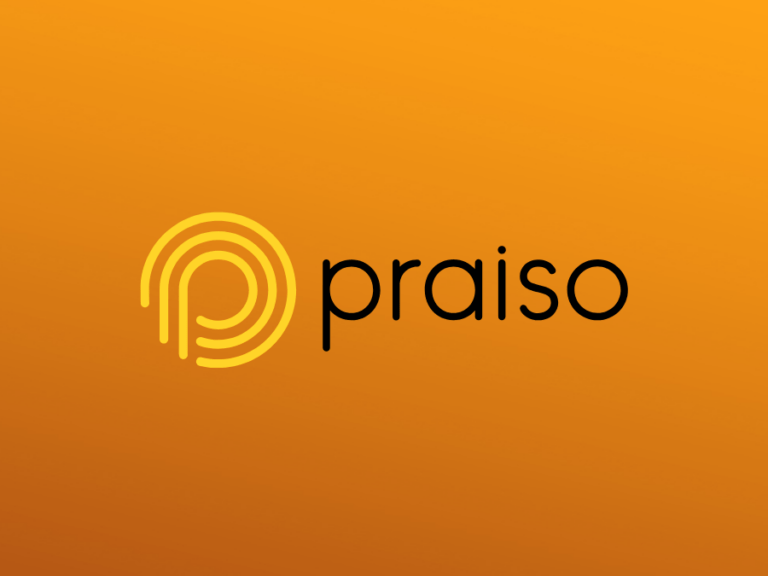 The image showcases the word "praiso" alongside a stylized yellow "p" on an orange background, hinting at the vibrant branding of the Praiso Driver Training App.